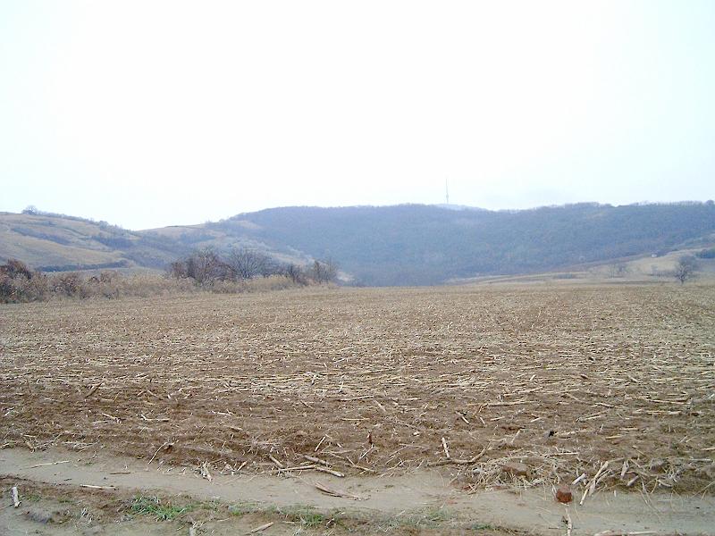 20111210 035.jpg
